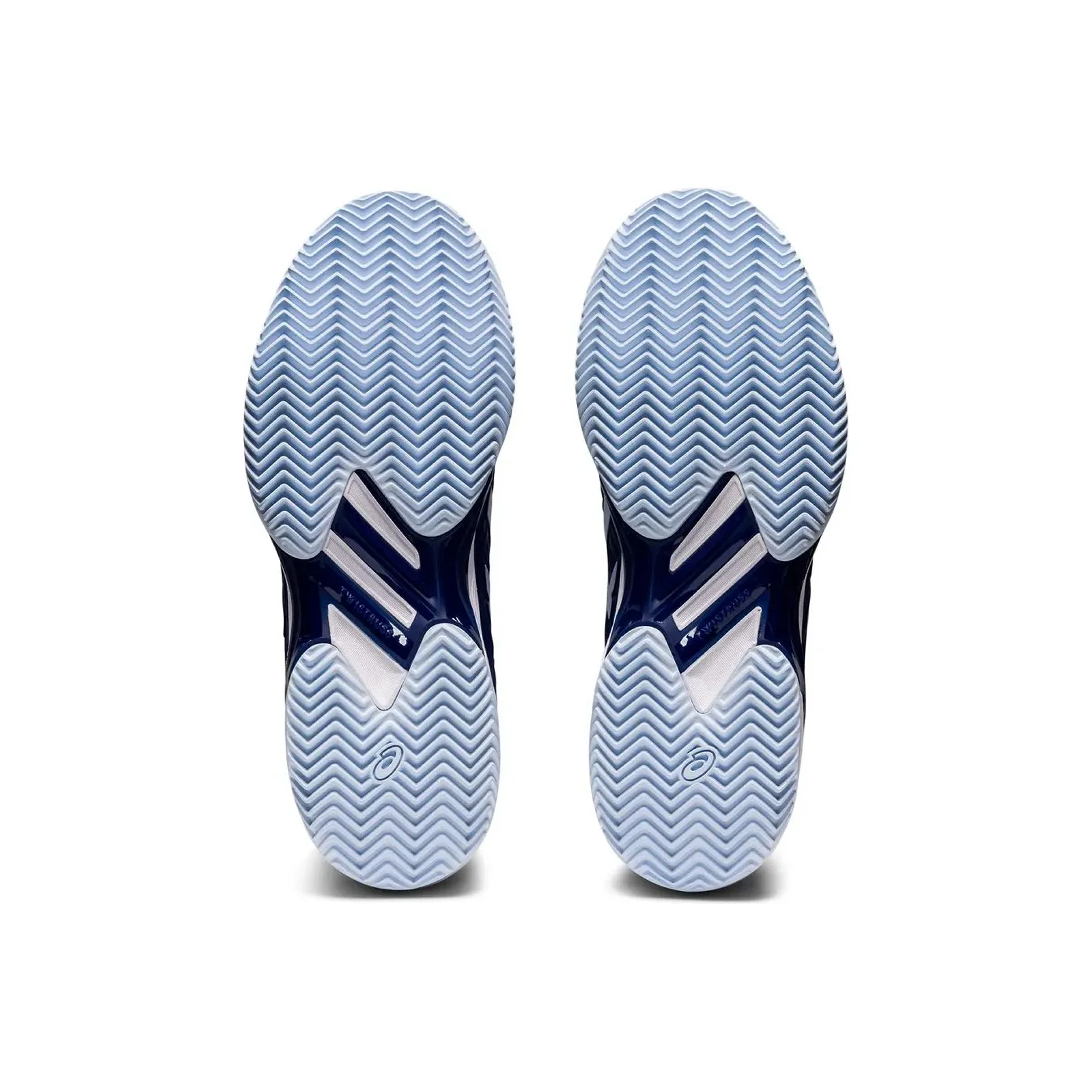 Calzado Asics Solution Speed FF