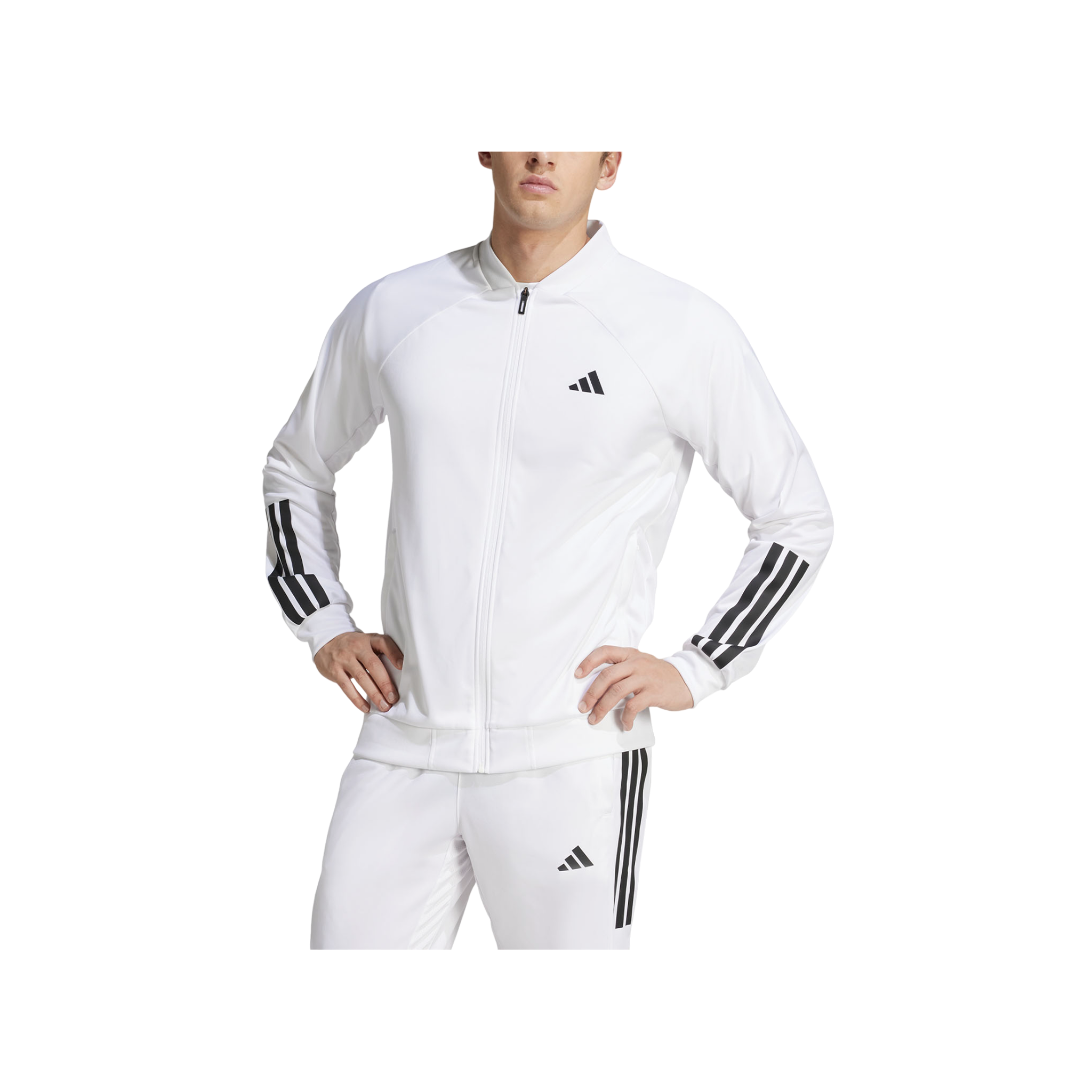 Chamarra Adidas Club 3-Stripes  Caballero